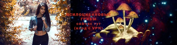 тгк Абинск