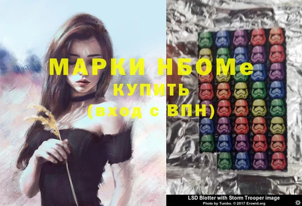 метадон Инта