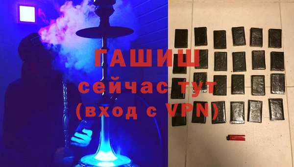 стаф Абаза